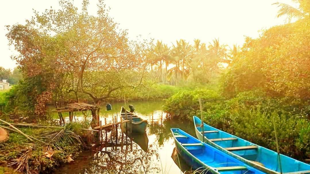 Shruthi'S Aarohi-Nature'S Retreat Mulappilangad Экстерьер фото