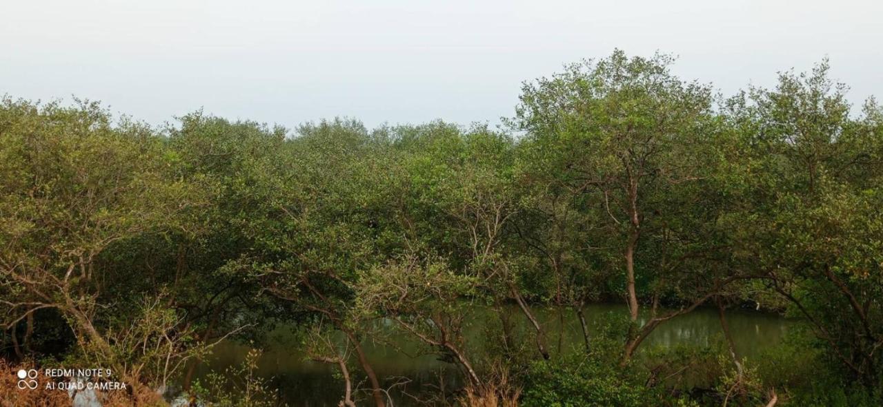 Shruthi'S Aarohi-Nature'S Retreat Mulappilangad Экстерьер фото