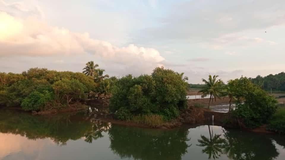 Shruthi'S Aarohi-Nature'S Retreat Mulappilangad Экстерьер фото